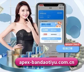 国际化进程 | Bandao